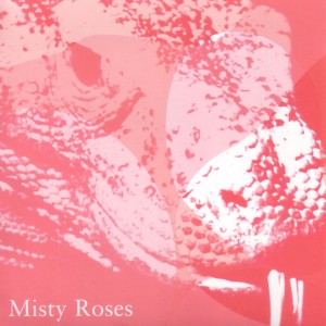 收聽Misty Roses的Into The Sky歌詞歌曲