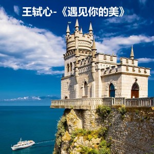 Listen to 遇见你的美 (伴奏) song with lyrics from 王轼心