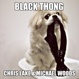 ดาวน์โหลดและฟังเพลง Black Thong (Radio Edit) พร้อมเนื้อเพลงจาก Chris Lake