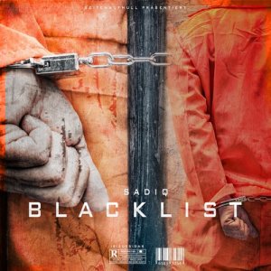 Listen to Assasina (Explicit) song with lyrics from Sadiq
