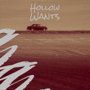Listen to Hollow Wants song with lyrics from Hament Ramlat