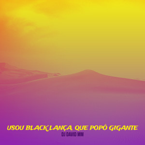 收听Dj David MM的Usou Black Lança, Que Popô Gigante歌词歌曲