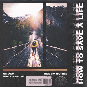 Andrew Cox的专辑How to Save a Life (feat. Gabriel Eli)