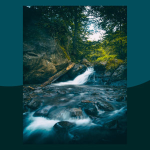 Listen to Soothing Formations song with lyrics from SPA