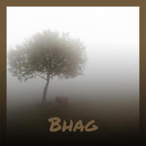 Album Bhag from Various