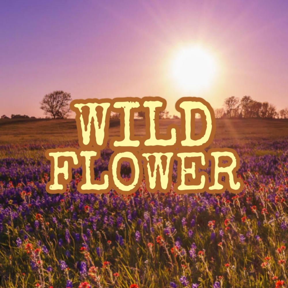 WILDFLOWER