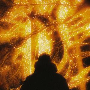 收聽Lotus Beats的Winter Lights歌詞歌曲