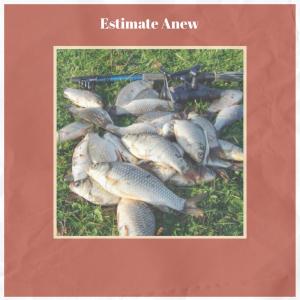 Various的专辑Estimate Anew
