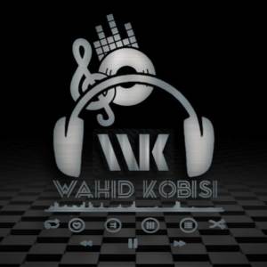 Listen to MASHUP TRUMPET X ANIMALS X TSUNAMI song with lyrics from Wahid Kobisi