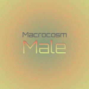 Listen to Monumental Manganese song with lyrics from Tris Tich