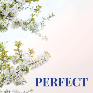 ดาวน์โหลดและฟังเพลง Perfect พร้อมเนื้อเพลงจาก Main Station