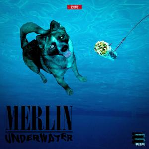 收聽fleau的MERLIN UNDERWATER (feat. $tarGoo Gurl, Rob Buck & Xd_Integrity) (Explicit)歌詞歌曲