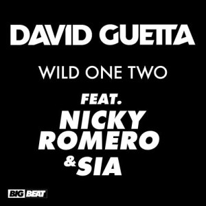 收聽David Guetta的Wild One Two (feat. Nicky Romero and Sia) (No_ID Remix)歌詞歌曲