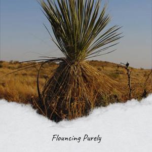Album Flouncing Purely from Various