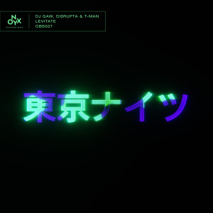 Album Levitate from DJ Gaw