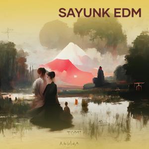 Dengarkan lagu Sayunk Edm nyanyian Byon dengan lirik