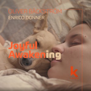Enrico Donner的專輯Joyful Awakening