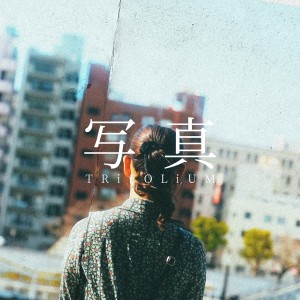 收聽Trifolium的海岸線歌詞歌曲
