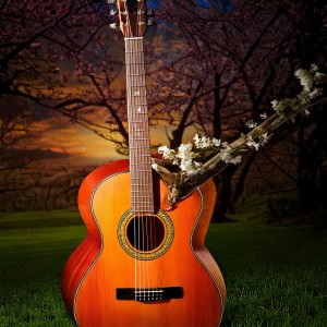 default playlist img