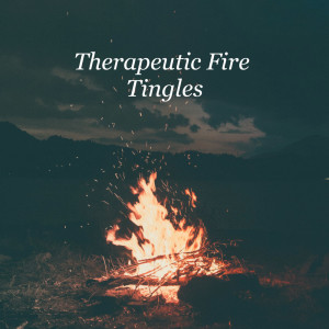 收聽Cozy Sound Makers的Campfire Nature歌詞歌曲