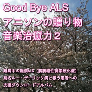 ดาวน์โหลดและฟังเพลง I Say Yes พร้อมเนื้อเพลงจาก Nanbyou Shien Project