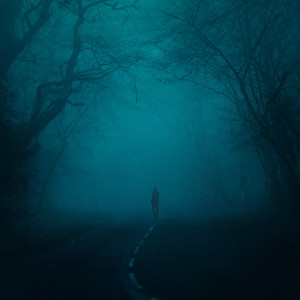อัลบัม snowfall (Slowed + Reverb) ศิลปิน Øneheart
