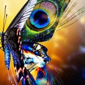 Album Tritonal Ft LEVV Medicine from Hesham Watany