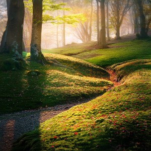 收聽Joga Relaxing Music Zone的Floating Without A Care歌詞歌曲