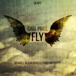 ดาวน์โหลดและฟังเพลง Fly (Blackliquid Remix) พร้อมเนื้อเพลงจาก Carl Price