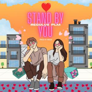 Regulus PLM的專輯Stand by you