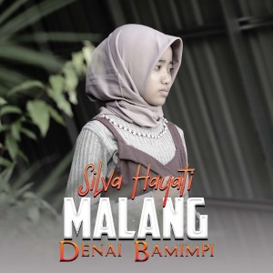 收聽Silva Hayati的Malang Denai Bamimpi歌詞歌曲