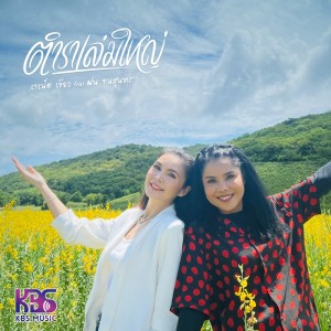 ตำราเล่มใหญ่ - Single