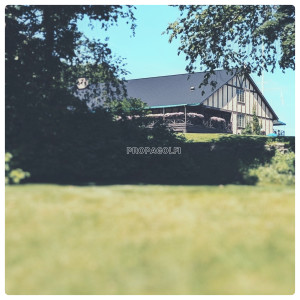 Album Propagolfi (Explicit) from Majors