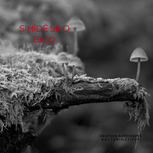 Listen to Baso song with lyrics from SIHÎDÊ SILO