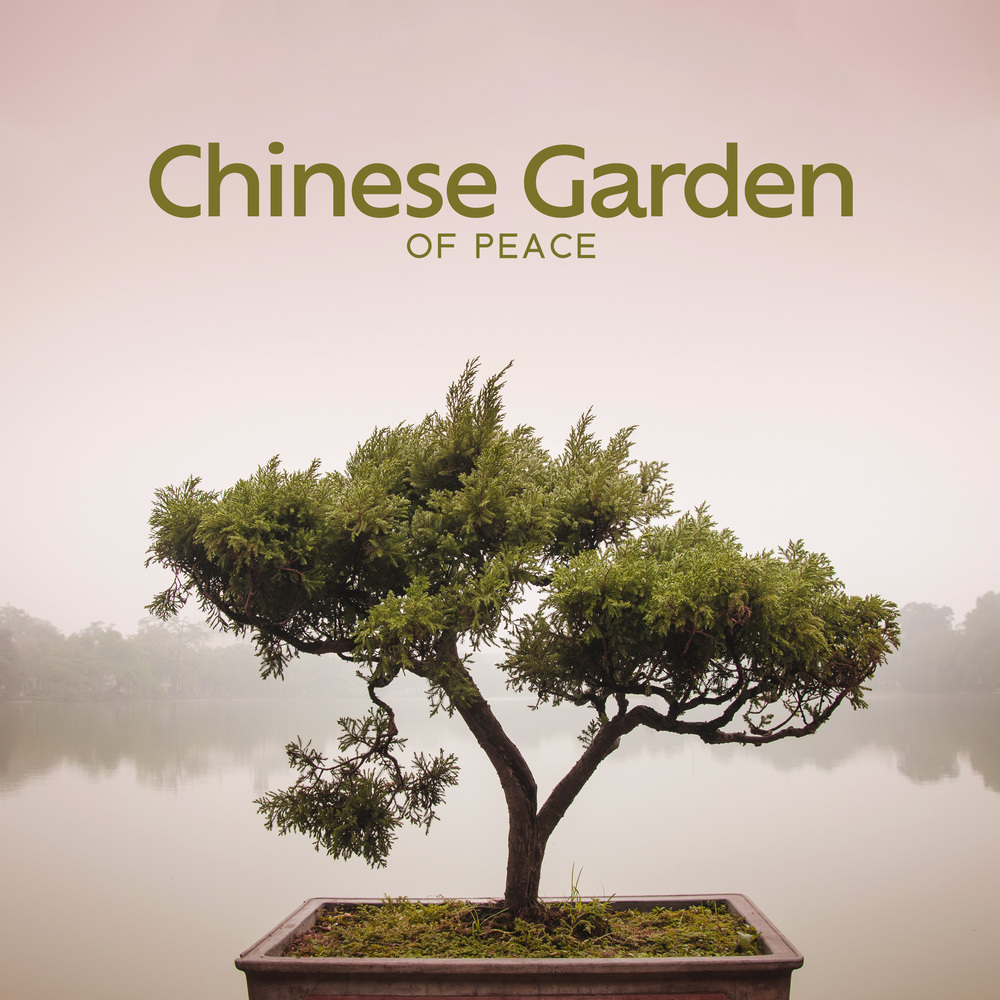 Oriental Zen Garden