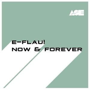 Listen to Now & Forever (EDM Radio Edit) song with lyrics from e-Flau!