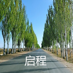 绿色音符的专辑启程