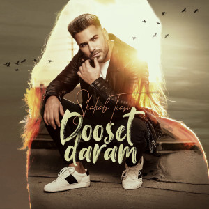 Listen to Dooset Daram song with lyrics from Shahab Tiam