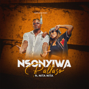 Nsonyiwa dari Pallaso