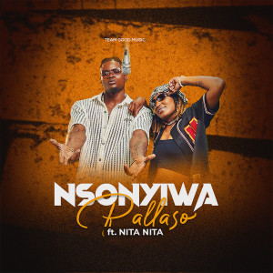 Listen to Nsonyiwa song with lyrics from Pallaso