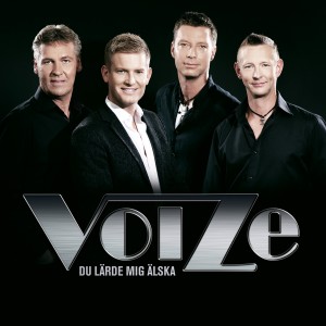 ดาวน์โหลดและฟังเพลง This Little Girl พร้อมเนื้อเพลงจาก Voize