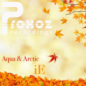 Dengarkan lagu iE (G.L.Y. Remix) nyanyian Aqua & Arctic dengan lirik
