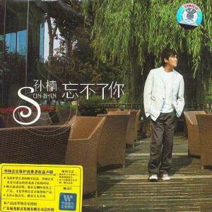 ดาวน์โหลดและฟังเพลง Unforgettable พร้อมเนื้อเพลงจาก 孙楠