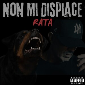 收听Rata的Non Mi Dispiace (Explicit)歌词歌曲