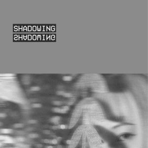 Listen to SHADOWING (完整版) song with lyrics from HazyPupu
