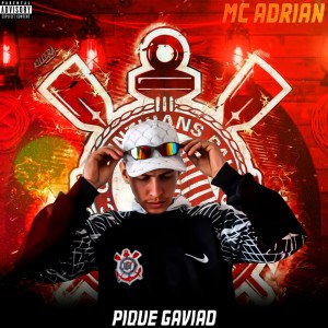 Album Pique gavião (Explicit) from 