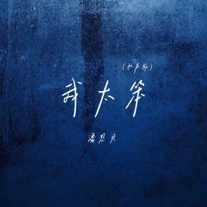 Listen to 我太笨 (和声版) song with lyrics from 潘思贝