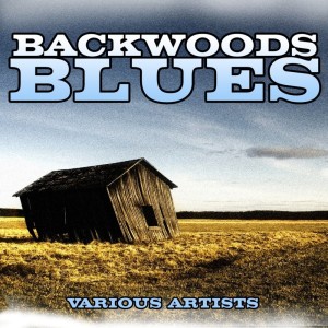 Listen to Jailhouse Fire Blues song with lyrics from Buddy Boy Hawkins