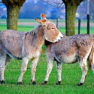 Listen to 好想抱住你 (抖音热歌) song with lyrics from 二蛤