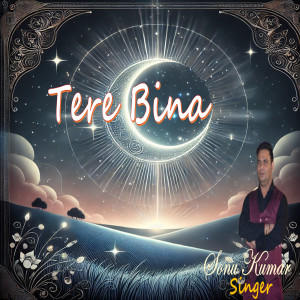 Listen to Tere Bina song with lyrics from Mahesh Joshi